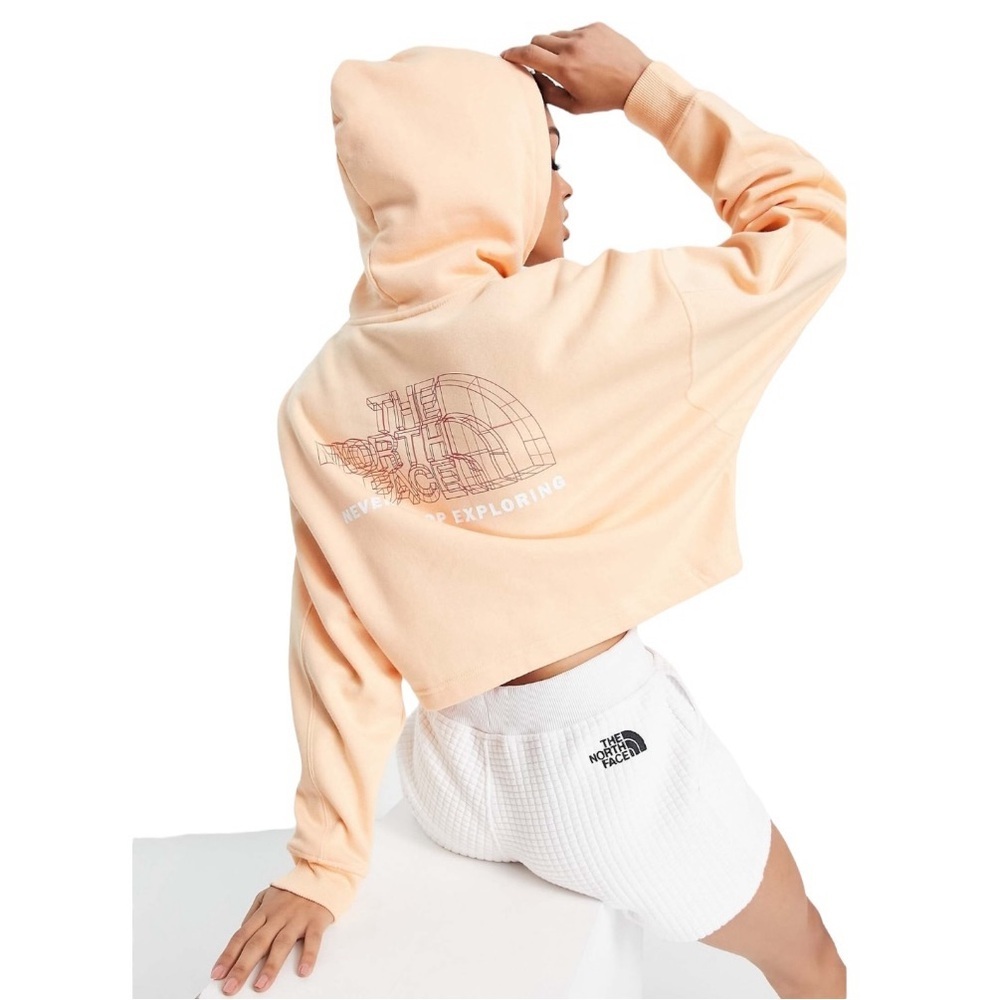 The North Face Coordinates Back Print Hoodie